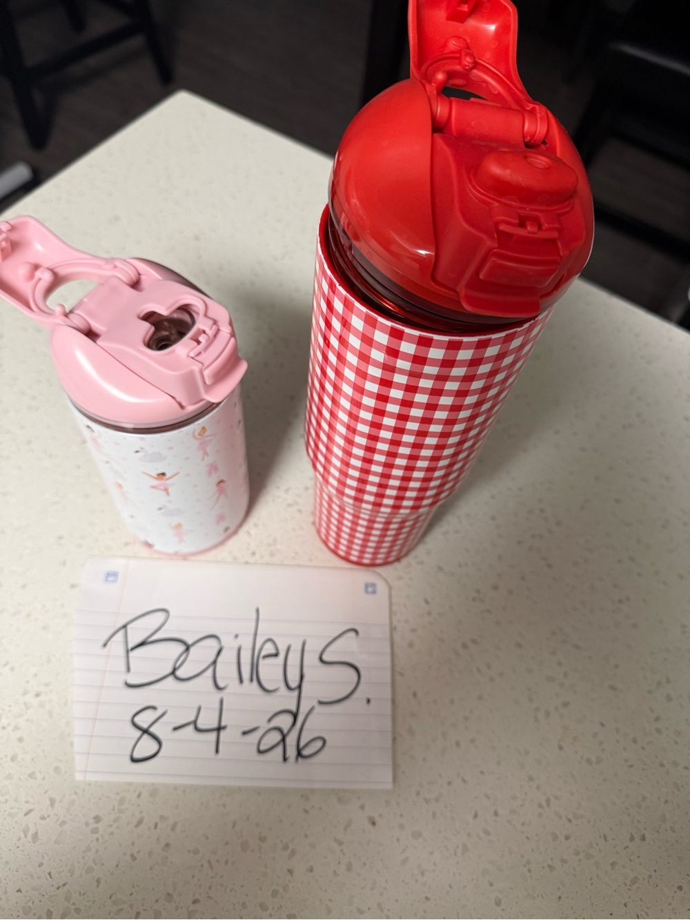 HydroJug Duo Set - Pink ballerina & summer picnic